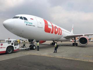 Lion Air Buka Penerbangan Baru ke Singapura PP Setiap Hari, Harga Tiketnya?