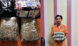 Bea Cukai Batam Gagalkan Pengiriman Ganja Lewat Paket BarangÂ 