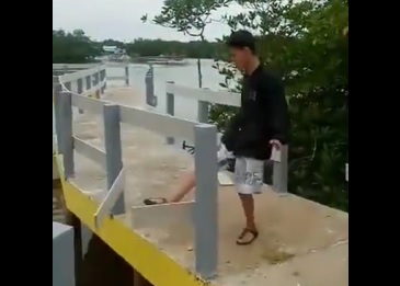 Demi Konten, Remaja Rusak Pelantar Wisata Mangrove Kota Rebah Tanjungpinang