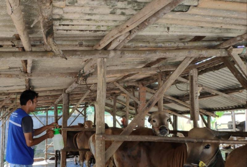 Hewan Kurban di Tanjungpinang Diperiksa Ketat, yang Sehat Diberi Barcode
