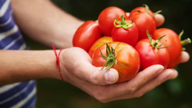7 Makanan yang Bikin Pria Awet Muda dan Sehat, Salah Satunya Tomat!