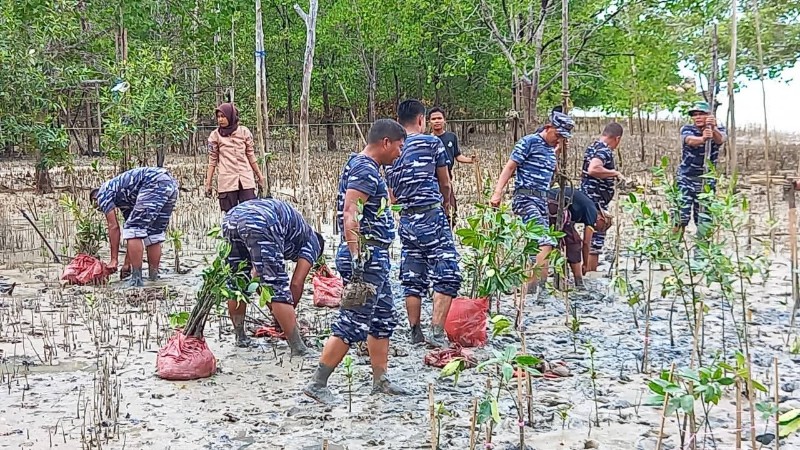 Lanal TBK Tanam 5.000 Pohon Mangrove di Pesisir Pantai Pongkar Karimun