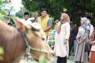 Dewi Ansar Keliling Pulau Bintan Serahkan Hewan Kurban