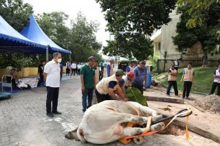 Momen Idul Adha 1443 H, BP Batam Sembelih Hewan Kurban