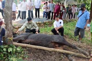 Tak Ingin Ketinggalan Berkurban, Kapolres Bintan Sumbang Seekor Sapi BaliÂ