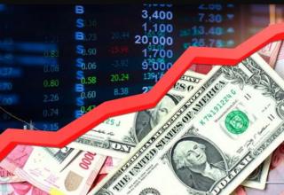 Nilai Tukar Dolar AS Tercatat Setara Euro Hari Ini, 1 USD= 1 EURO