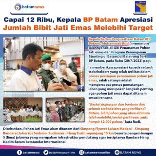 INFOGRAFIS: Bibit Jati Emas Lebihi Target Capai 12 Ribu