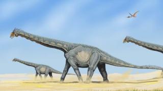 Jejak Kaki Dinosaurus Berusia 100 Juta Tahun Ditemukan di China