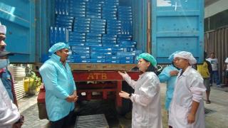 Mantap, Bintan Ekspor 9,5 Ton Ikan Fillet Kerapu dan Kakap ke Australia
