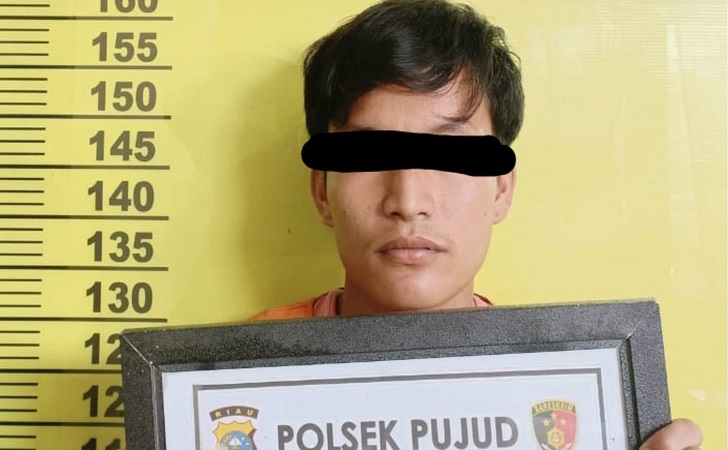 Bejat, Pekerja Kebun di Riau Cabuli Gadis Bawah Umur hingga Hamil