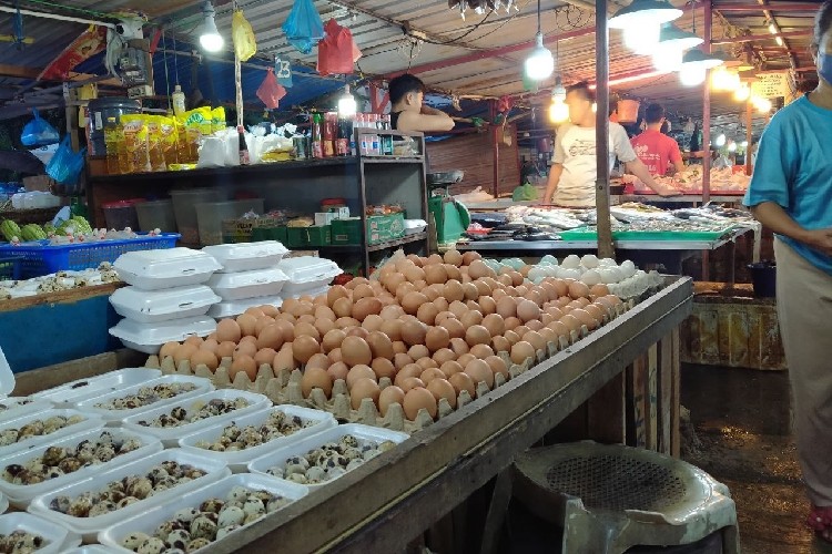 Siap-siap, Harga Telur di Batam Bakal Makin Mahal Dampak Kenaikan BBM