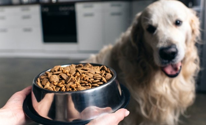 Demi Berhemat Mahasiswa Ini Rela Santap Makanan Anjing