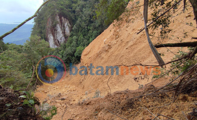 Jalur Pendakian Bukit Permata di Desa Panggak Darat Lingga Terputus Akibat Longsor