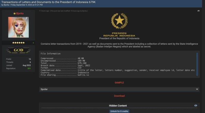Pakar Siber Ragu Bjorka Orang Indonesia
