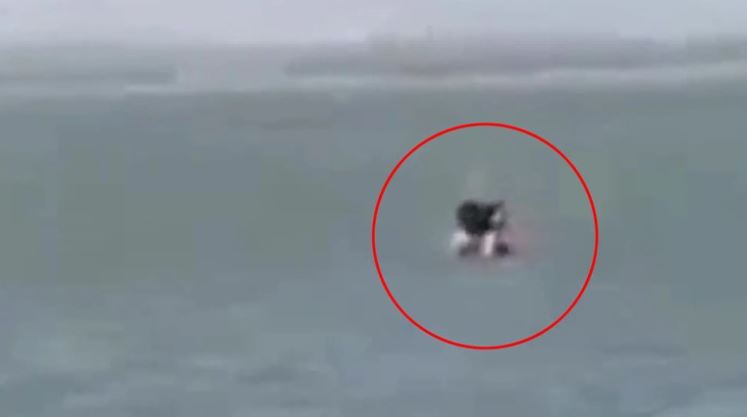 Turis Berhubungan Seks di Pantai Kena Denda Rp 1,8 Juta