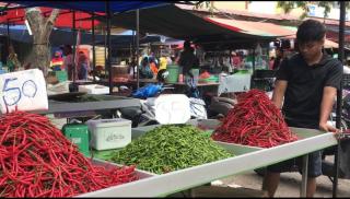 BPS Sebut Penurunan Harga Cabai dan Minyak Goreng Picu Deflasi di Kepri