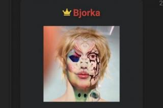 Diduga Hacker Bjorka, Pemuda Madiun Diamankan Polisi