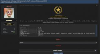 Pakar Siber Ragu Bjorka Orang Indonesia