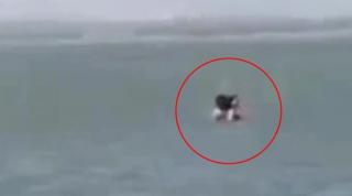 Turis Berhubungan Seks di Pantai Kena Denda Rp 1,8 Juta