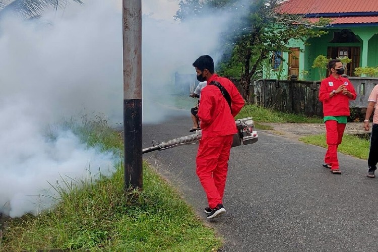 Musim Penghujan, Kasus DBD di Lingga Oktober 2022 Meningkat