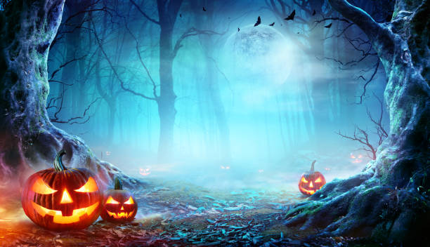 Korban Jiwa Tragedi Halloween di Itaewon Korsel Terus Bertambah, Kini 154 Orang