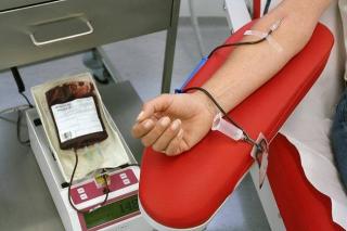 Cegah Penuaan Dini, Berikut 8 Manfaat Donor Darah Bagi Kesehatan Tubuh