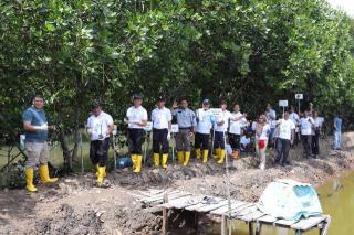 PLN Batam Tanam 5.000 Bibit Mangrove di Hutan Mangrove Tanjung Piayu