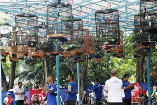 Lomba Burung Berkicau Semarakkan HUT ke-51 BP Batam