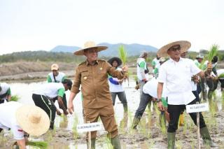 Tanam Padi Bareng Moeldoko, Gubernur Ansar Ingin Lingga Jadi Lumbung Pangan Organik