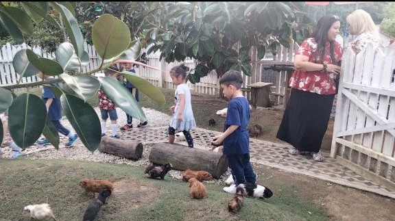 Serunya Memberi Makan Kelinci di Panbil Nature Reserve