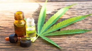 Nah, Penelitian Sebut Ganja Medis Tidak Punya Efek Menyembuhkan