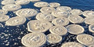 Fenomena Langka, Es Berbentuk "Pancake" Tutupi Sungai di Skotlandia