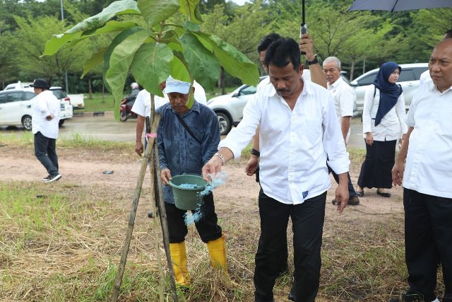 Kepala BP Batam Tinjau Pertumbuhan Pohon Kayu Jati Emas