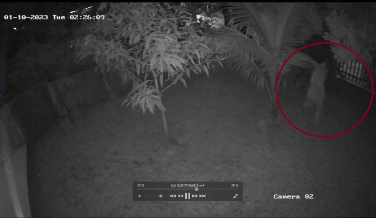 CCTV Detik-detik Pria Tanpa Identitas Bunuh Diri di Tower Bea Cukai Batam