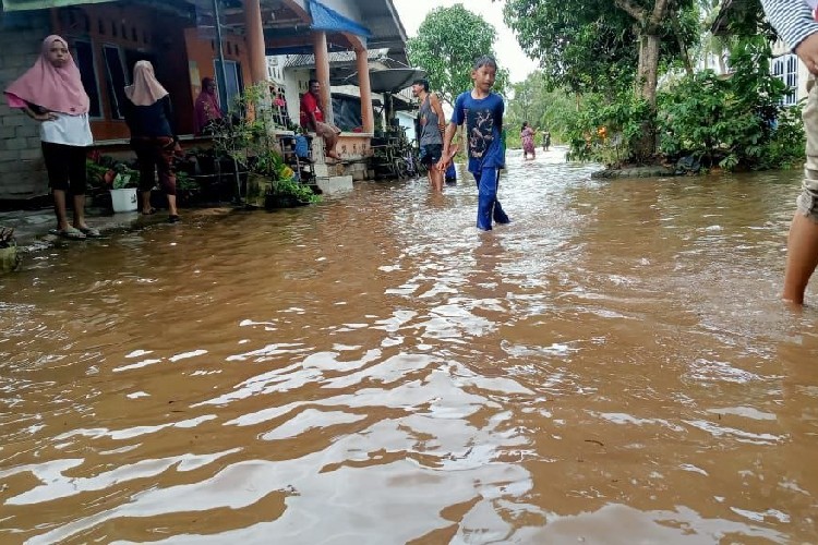 3.309 Jiwa Warga Bintan Terdampak Banjir dan Pohon Tumbang