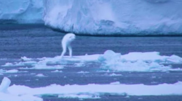 Begini Wujud Makhluk Mirip Manusia yang Tampak di Antartika