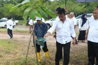 Kepala BP Batam Tinjau Pertumbuhan Pohon Kayu Jati Emas