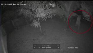 CCTV Detik-detik Pria Tanpa Identitas Bunuh Diri di Tower Bea Cukai Batam