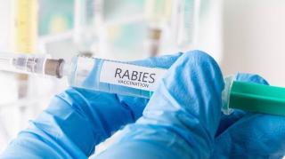 Kadinkes Ungkap Penyebab Stok Obat Rabies di Batam Kosong