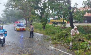 Cuaca Ekstrem di Tanjungpinang, Polisi Imbau Warga Waspadai Pohon Tumbang