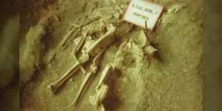 Manusia Prasejarah Pernah Hidup di Siberia 10.000 Tahun Silam, Lalu Hilang Misterius