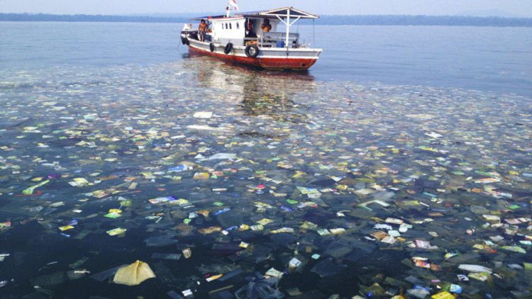 Bahaya Plastik Terhadap Lingkungan dan Kesehatan