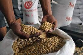 Harga Kedelai di Kepri Naik Dua Kali Lipat