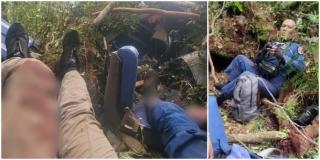 Hutan Kerinci Lokasi Helikopter Kapolda Jambi Dihuni Harimau