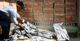 Wacana Pemko Batam Impor Ikan, Pakar Ekonomi: Aneh Sekaligus Lucu