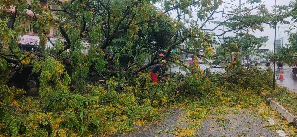Tips Aman Berkendara saat Musim Hujan dan Angin Kencang