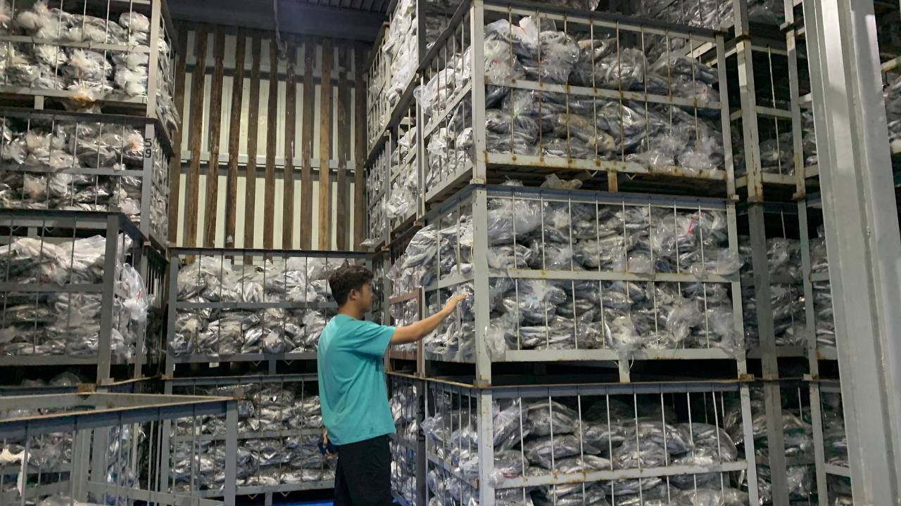Stok Kosong, Distributor Batam Impor 13 Ton Ikan Kembung dari Jawa
