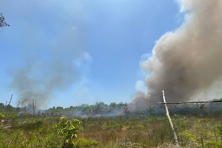 Catat! Polres Karimun Bakal Tindak Tegas Pembakar Lahan