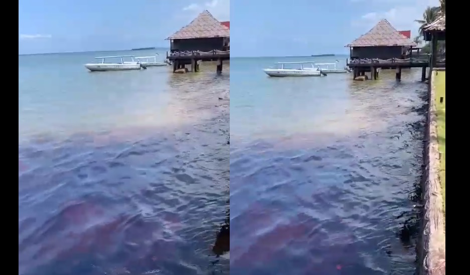 Miris, Keindahan Pantai Trikora Dirusak Limbah MinyakÂ 