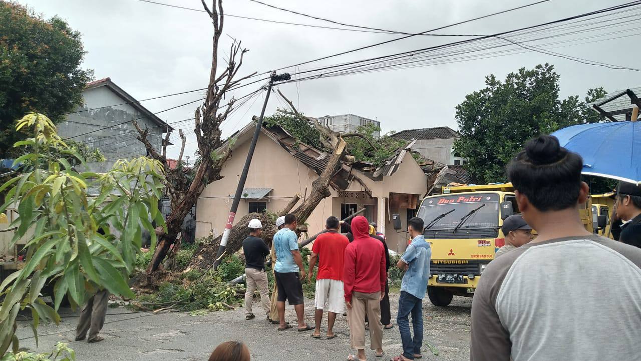 Penghuni Rumah di Karimun Syok Pohon Tumbang Hantam Atap hingga Rusak Parah